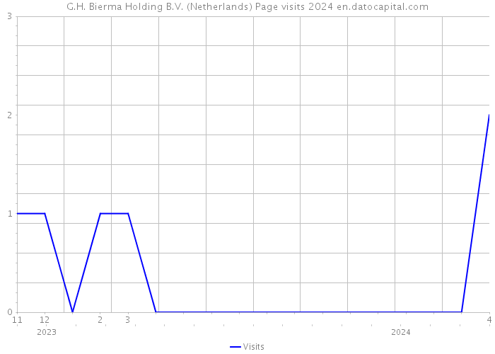 G.H. Bierma Holding B.V. (Netherlands) Page visits 2024 