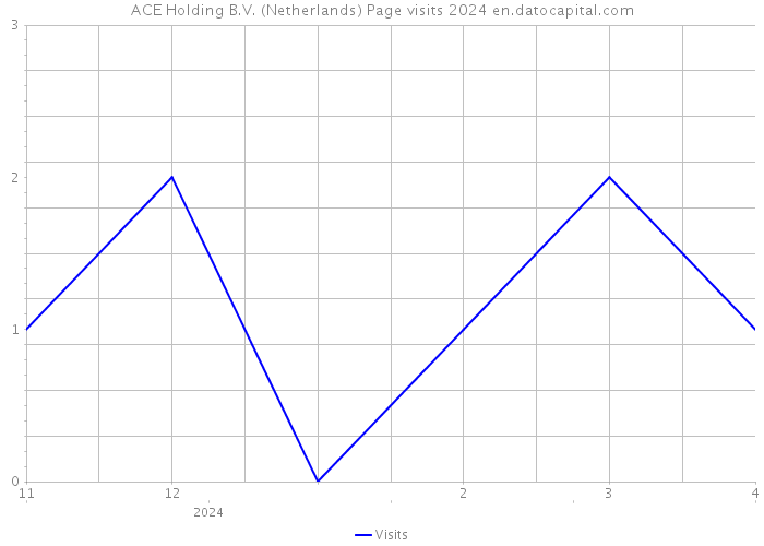ACE Holding B.V. (Netherlands) Page visits 2024 