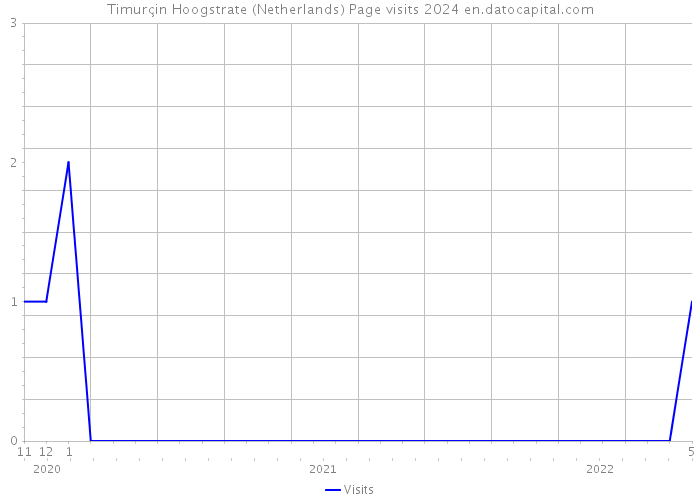 Timurçin Hoogstrate (Netherlands) Page visits 2024 
