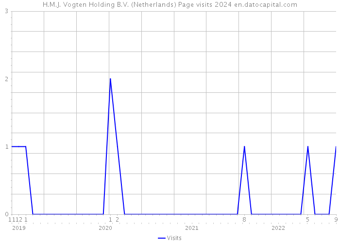 H.M.J. Vogten Holding B.V. (Netherlands) Page visits 2024 