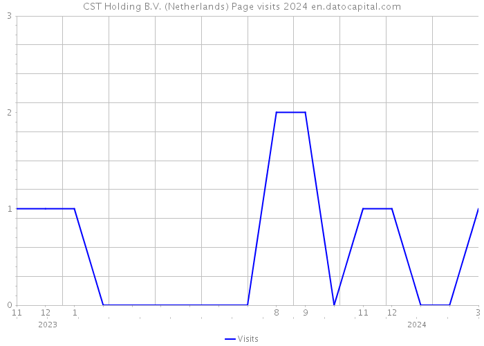 CST Holding B.V. (Netherlands) Page visits 2024 