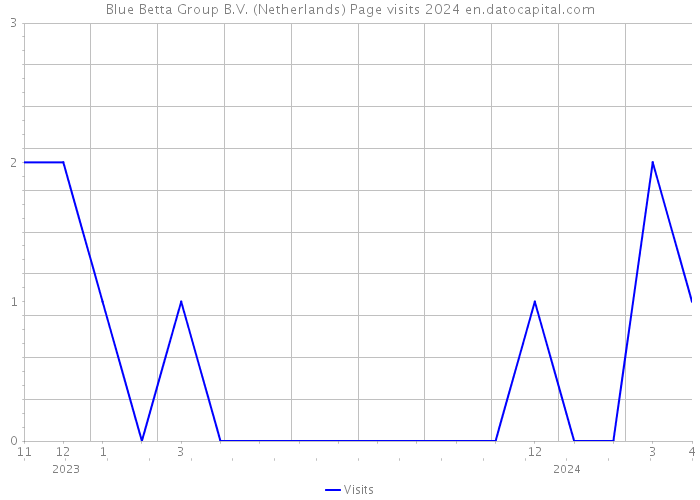 Blue Betta Group B.V. (Netherlands) Page visits 2024 