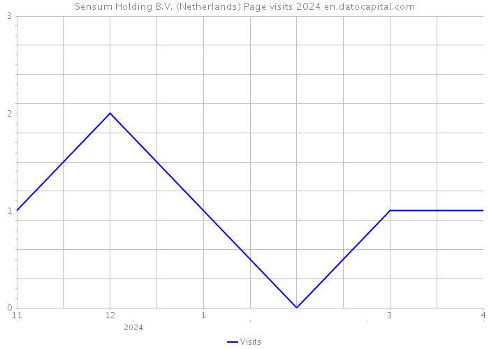 Sensum Holding B.V. (Netherlands) Page visits 2024 