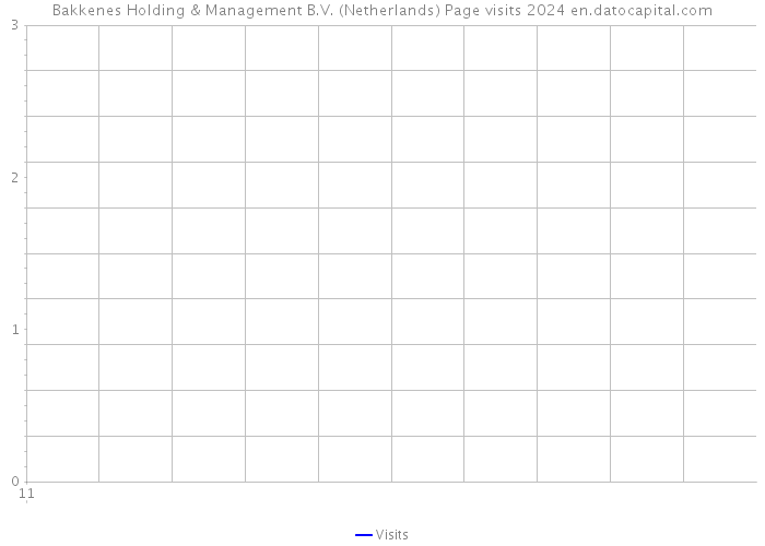 Bakkenes Holding & Management B.V. (Netherlands) Page visits 2024 