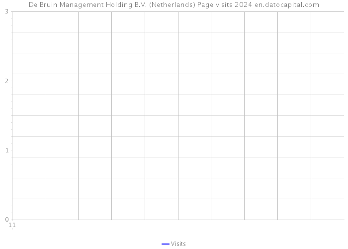 De Bruin Management Holding B.V. (Netherlands) Page visits 2024 