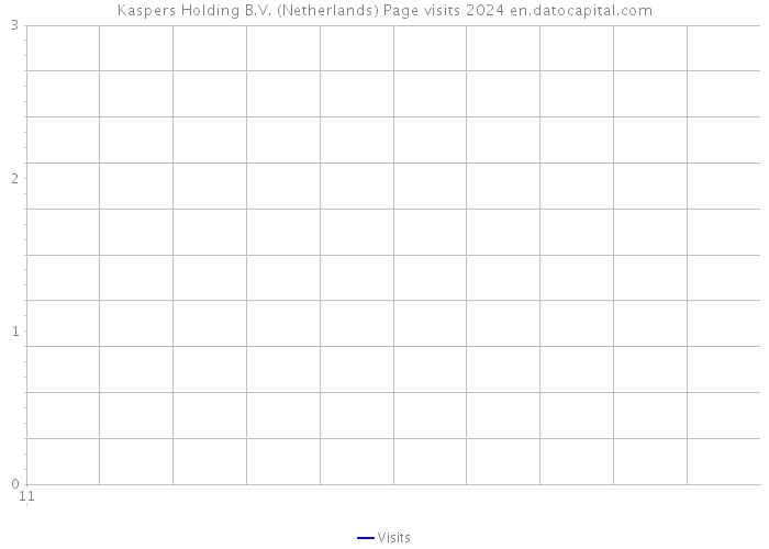 Kaspers Holding B.V. (Netherlands) Page visits 2024 