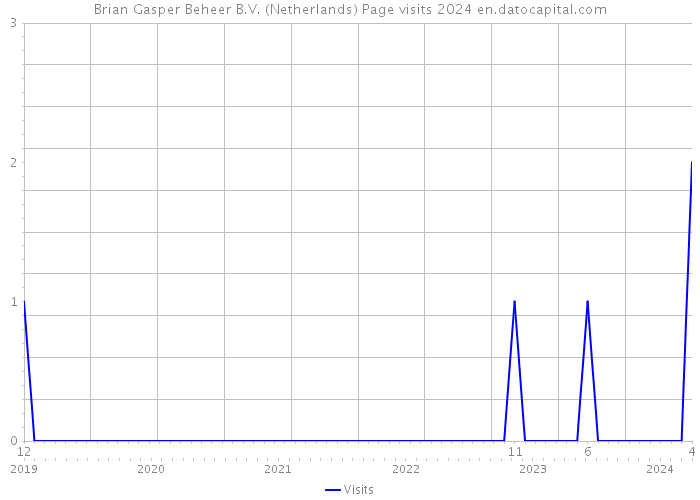 Brian Gasper Beheer B.V. (Netherlands) Page visits 2024 