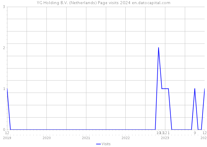 YG Holding B.V. (Netherlands) Page visits 2024 