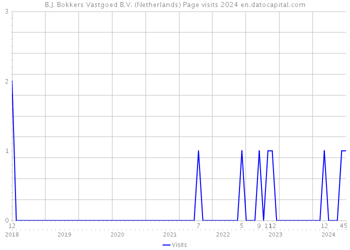 B.J. Bokkers Vastgoed B.V. (Netherlands) Page visits 2024 