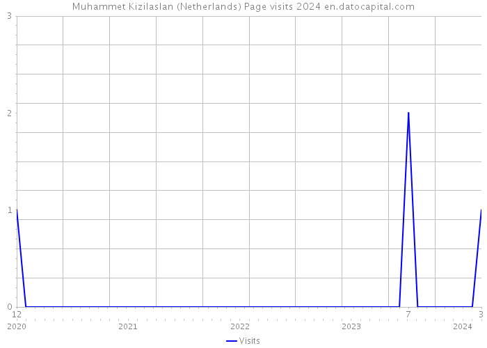 Muhammet Kizilaslan (Netherlands) Page visits 2024 