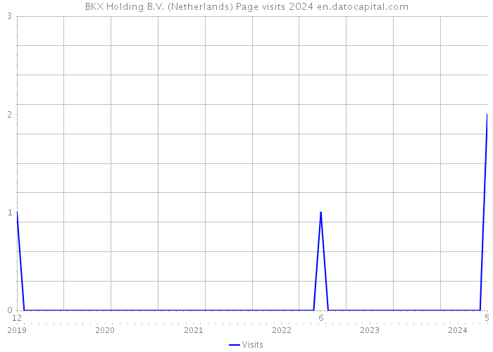 BKX Holding B.V. (Netherlands) Page visits 2024 