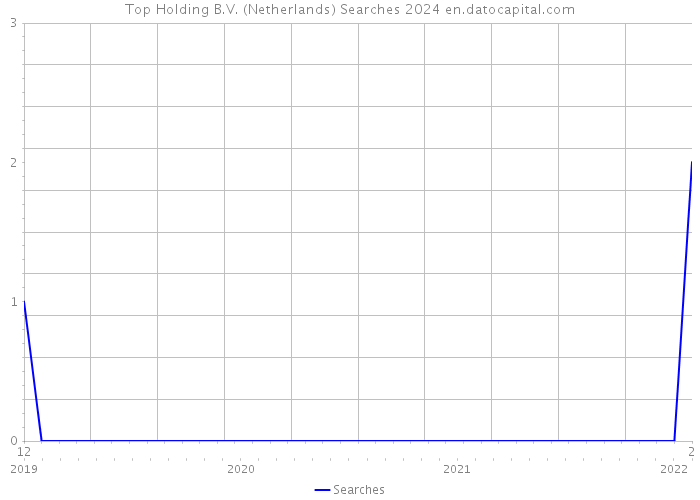 Top Holding B.V. (Netherlands) Searches 2024 