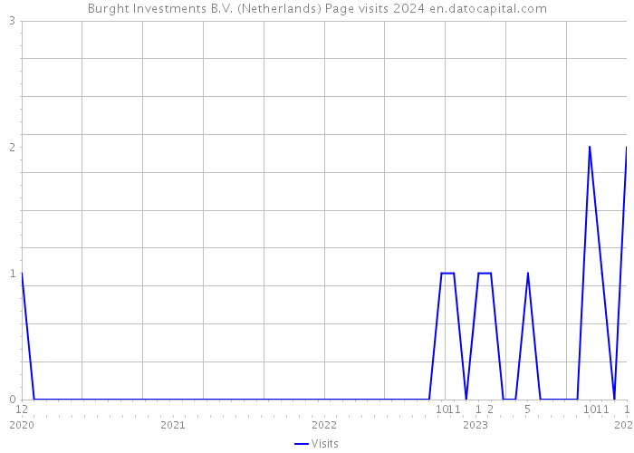 Burght Investments B.V. (Netherlands) Page visits 2024 