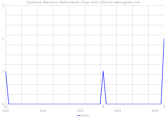 Zigmunds Blazevics (Netherlands) Page visits 2024 