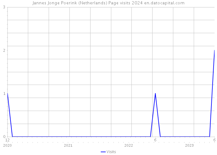 Jannes Jonge Poerink (Netherlands) Page visits 2024 