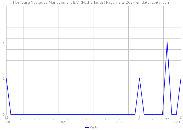 Homburg Vastgoed Management B.V. (Netherlands) Page visits 2024 
