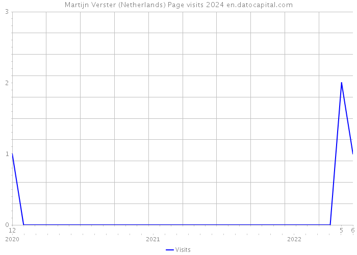 Martijn Verster (Netherlands) Page visits 2024 
