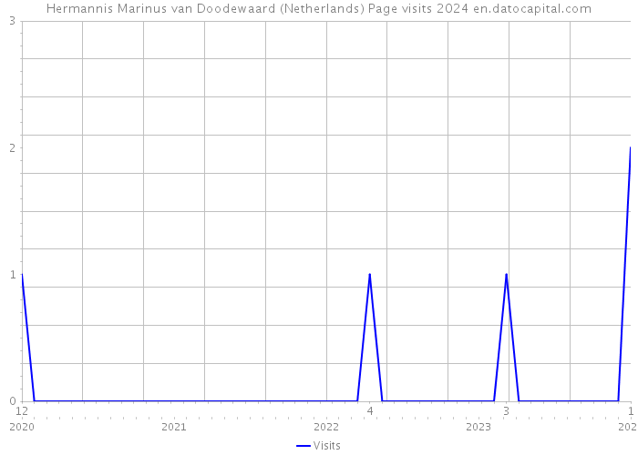Hermannis Marinus van Doodewaard (Netherlands) Page visits 2024 