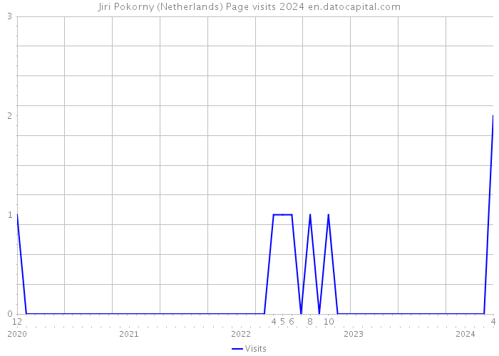 Jiri Pokorny (Netherlands) Page visits 2024 