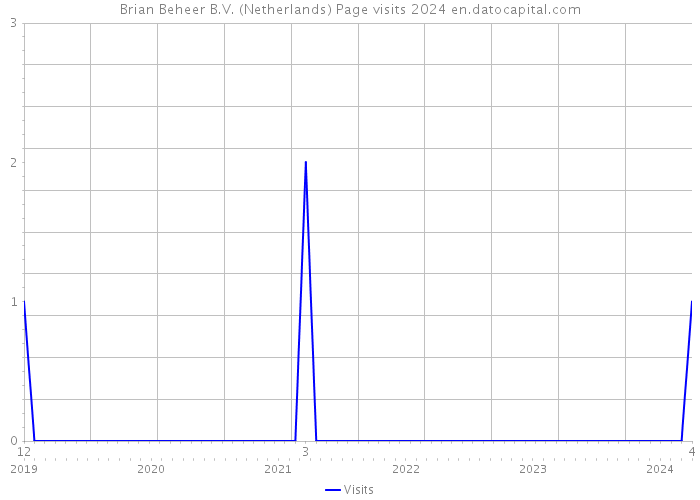 Brian Beheer B.V. (Netherlands) Page visits 2024 