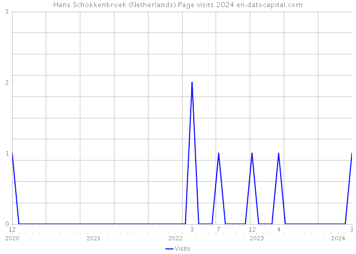 Hans Schokkenbroek (Netherlands) Page visits 2024 