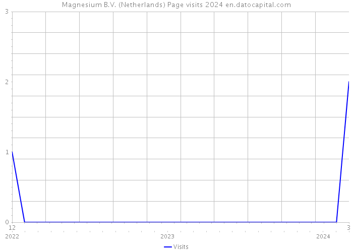 Magnesium B.V. (Netherlands) Page visits 2024 