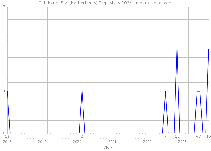 Goldbaum B.V. (Netherlands) Page visits 2024 