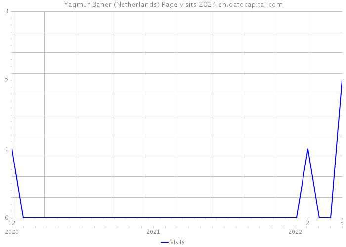 Yagmur Baner (Netherlands) Page visits 2024 