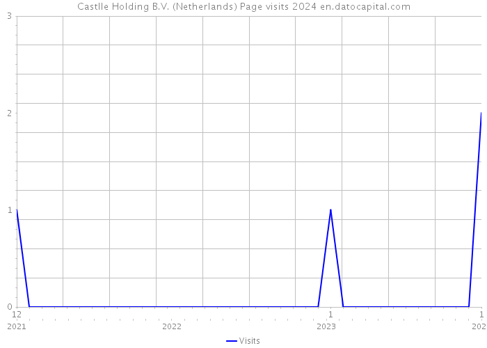 Castlle Holding B.V. (Netherlands) Page visits 2024 