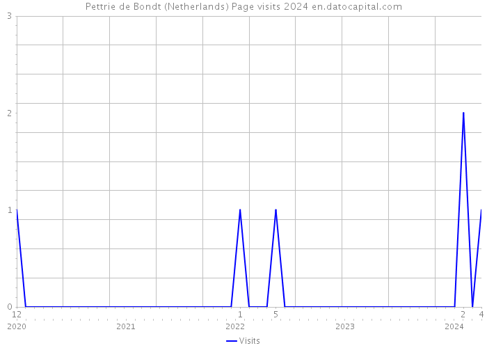 Pettrie de Bondt (Netherlands) Page visits 2024 