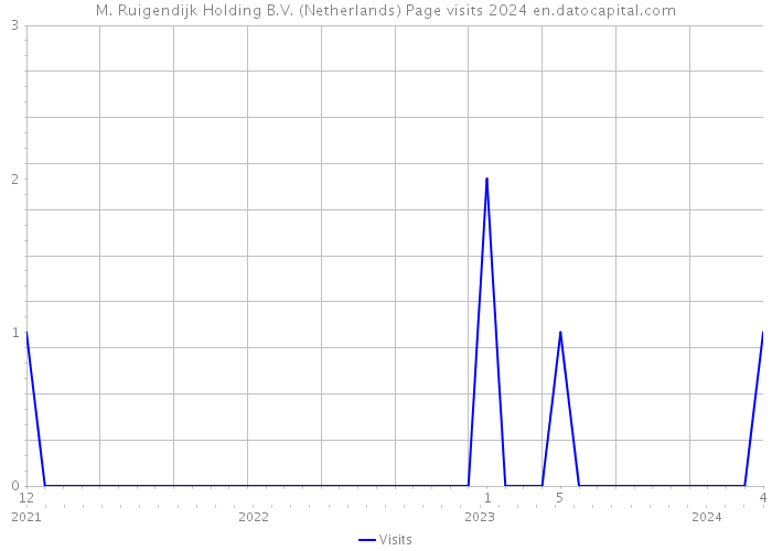 M. Ruigendijk Holding B.V. (Netherlands) Page visits 2024 