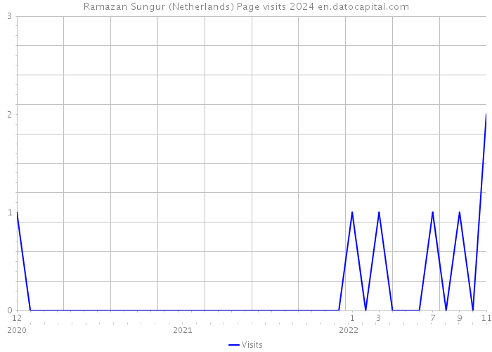Ramazan Sungur (Netherlands) Page visits 2024 
