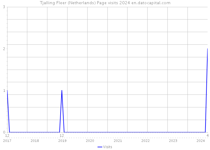 Tjalling Fleer (Netherlands) Page visits 2024 