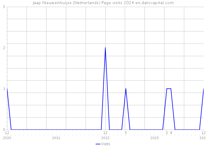 Jaap Nieuwenhuijse (Netherlands) Page visits 2024 