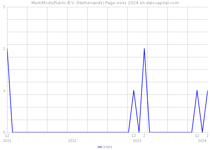 MultiModisPublic B.V. (Netherlands) Page visits 2024 
