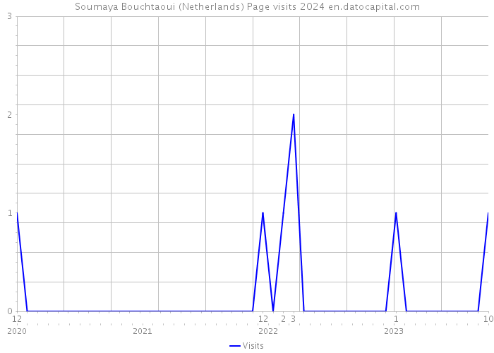 Soumaya Bouchtaoui (Netherlands) Page visits 2024 