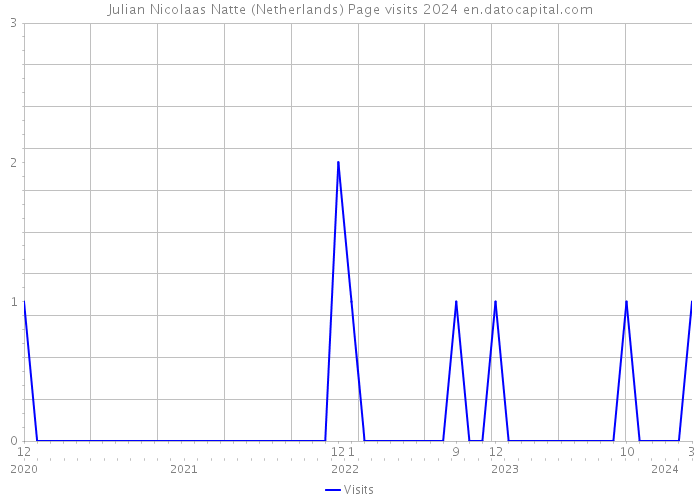 Julian Nicolaas Natte (Netherlands) Page visits 2024 