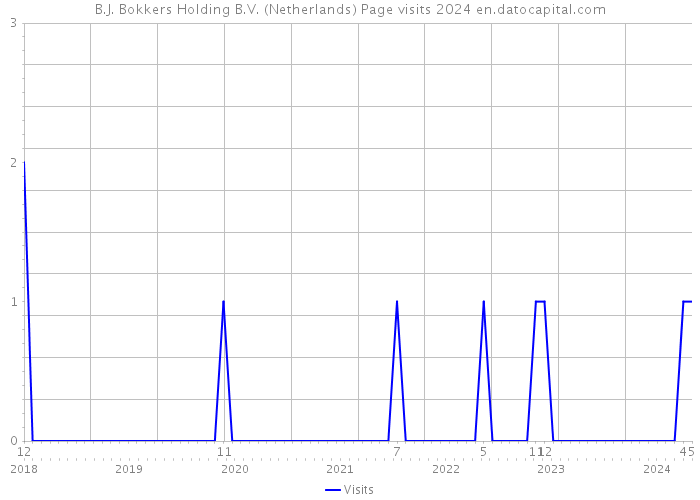 B.J. Bokkers Holding B.V. (Netherlands) Page visits 2024 