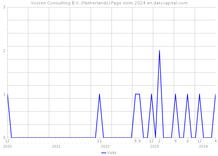 Vossen Consulting B.V. (Netherlands) Page visits 2024 