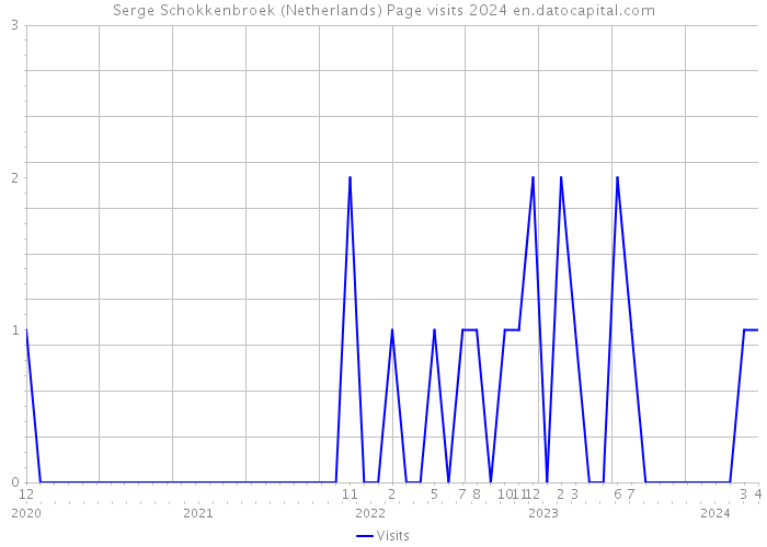 Serge Schokkenbroek (Netherlands) Page visits 2024 