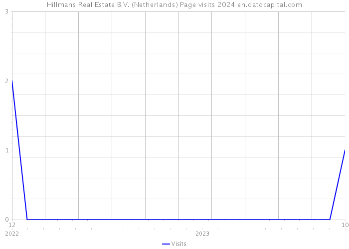 Hillmans Real Estate B.V. (Netherlands) Page visits 2024 