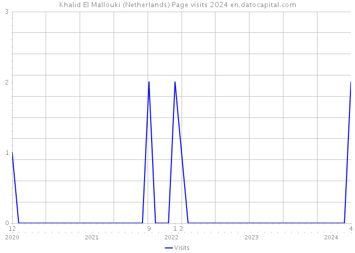 Khalid El Mallouki (Netherlands) Page visits 2024 