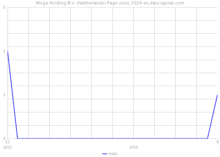 Moga Holding B.V. (Netherlands) Page visits 2024 