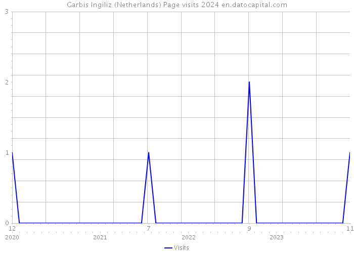 Garbis Ingiliz (Netherlands) Page visits 2024 
