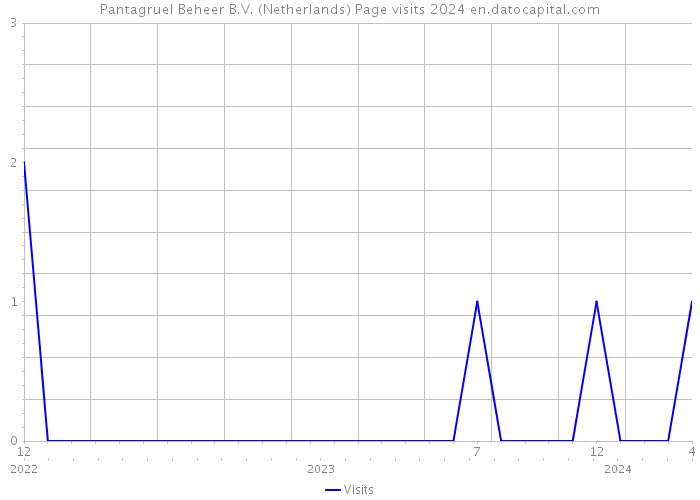 Pantagruel Beheer B.V. (Netherlands) Page visits 2024 