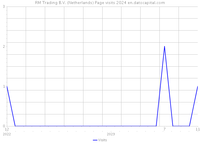 RM Trading B.V. (Netherlands) Page visits 2024 