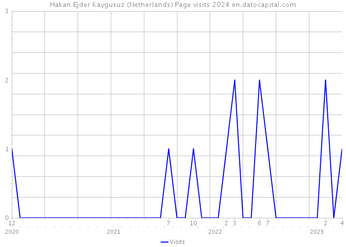 Hakan Ejder Kaygusuz (Netherlands) Page visits 2024 