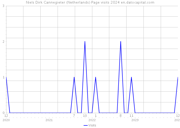 Niels Dirk Cannegieter (Netherlands) Page visits 2024 
