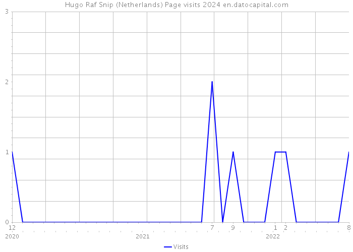 Hugo Raf Snip (Netherlands) Page visits 2024 