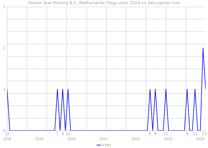 Nether Seal Holding B.V. (Netherlands) Page visits 2024 